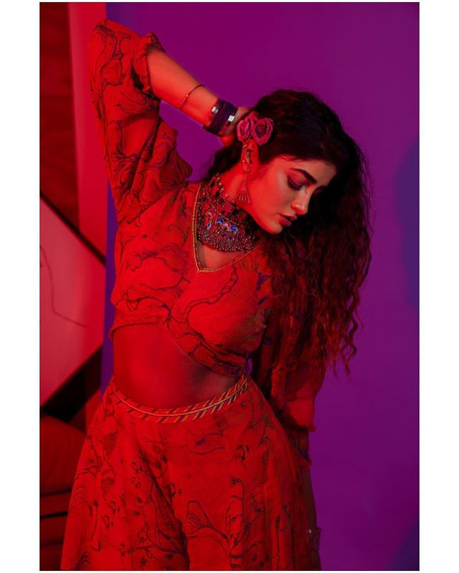 Staggering Poses Of Dimple Hayathi